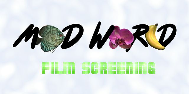 Mad World Closing Event | SoMad