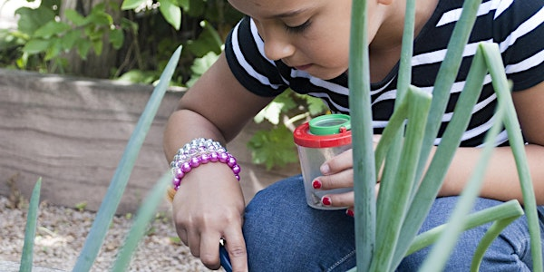 Family Event 'Bugs & Beasties' - College Lake, Wednesday 13 August | College Lake