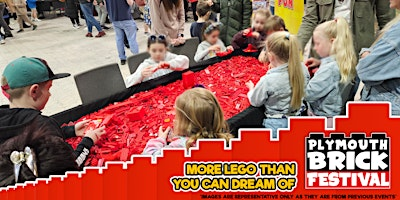 Plymouth Brick Festival September 2025 | Plymouth Life Centre