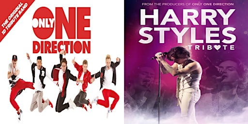 ONLY ONE DIRECTION & HARRY STYLES TRIBUTE | BAWA Healthcare & Leisure