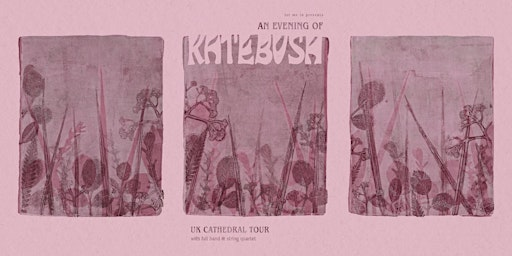 An Evening of Kate Bush at Chester Cathedral | Chester Cathedral