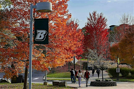 CCS 2026: The 2026 Conference on Complex Systems | Binghamton University