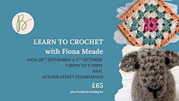 Learn to Crochet: 2 session Monday evening class (Stonehaven) | Baa!