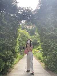 가을 여행지 추천 :: 화담숲🌳