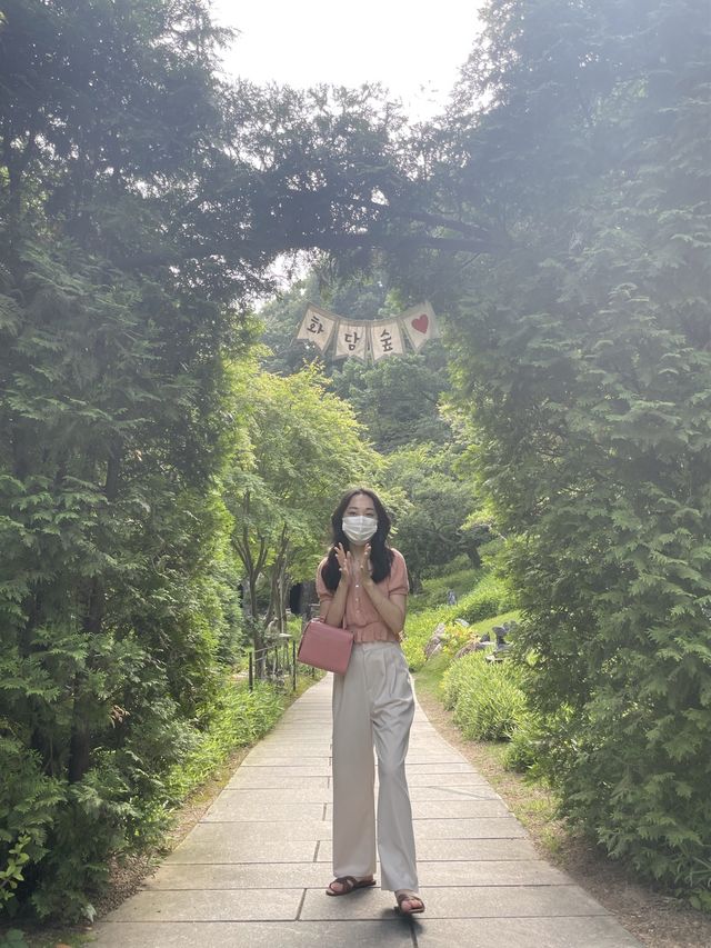 가을 여행지 추천 :: 화담숲🌳
