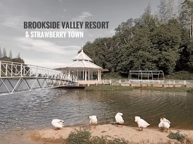 Brookside Valley Resort & Strawberry town