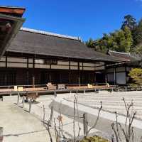 【銀閣寺】日本庭園🇯🇵
