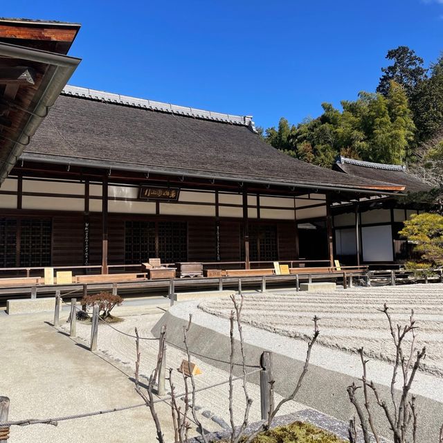 【銀閣寺】日本庭園🇯🇵
