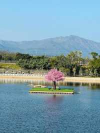 高質點心、打卡靚餐廳