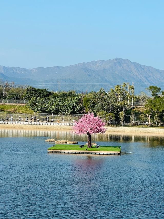 高質點心、打卡靚餐廳