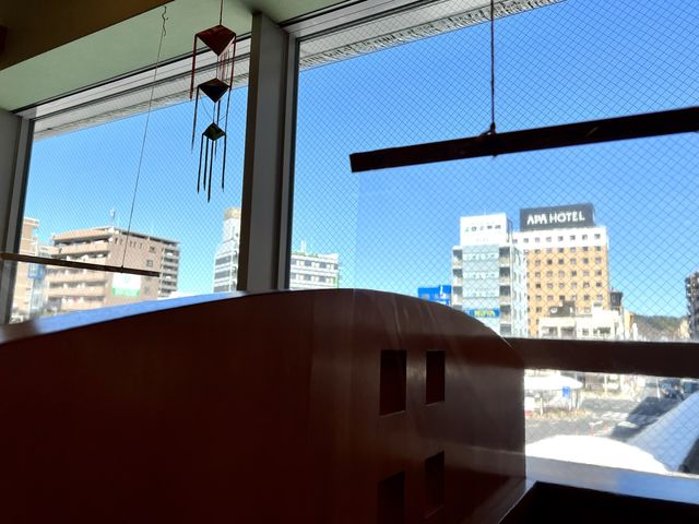 【鹿児島】鹿児島中央駅を散策してお昼ごはん
