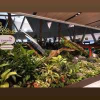 Nature Wonder @ T1 Changi