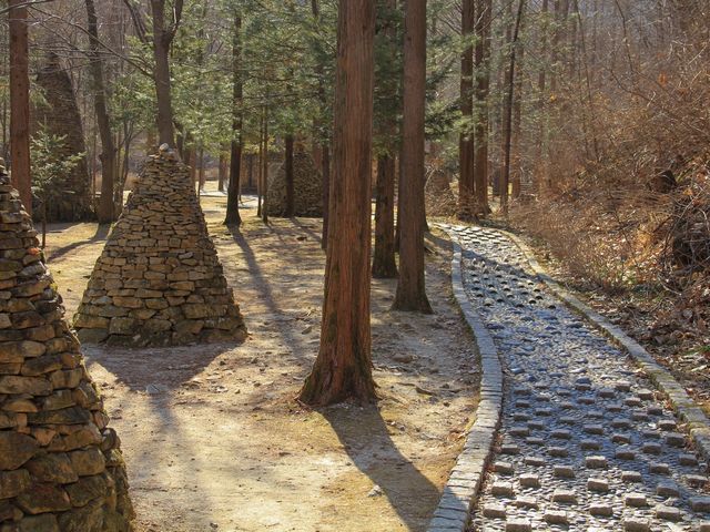 앙코르와트에 와있는 듯한 [상소동 산림욕장]