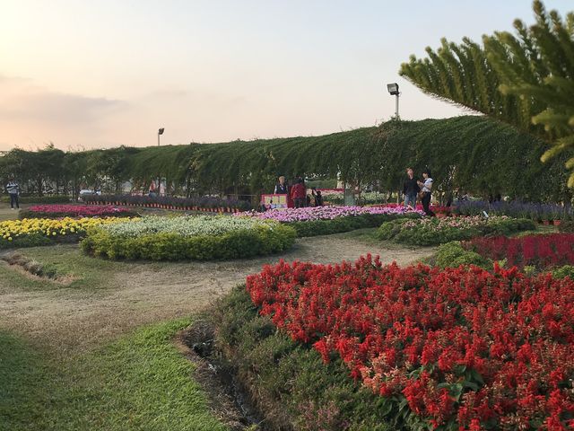 ChungShe Flower Garden TaiChung