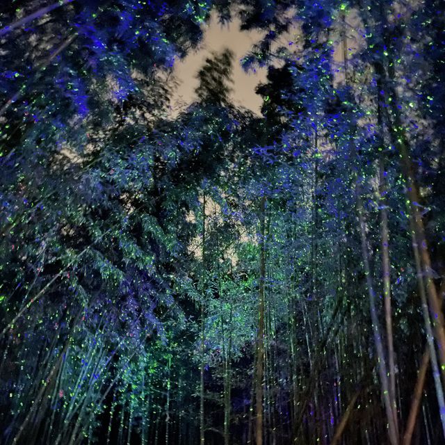 울산가면 꼭 가볼 십리대숲🎋