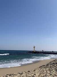 여름 해수욕장은 강릉 '강문해변' ! 🌊 