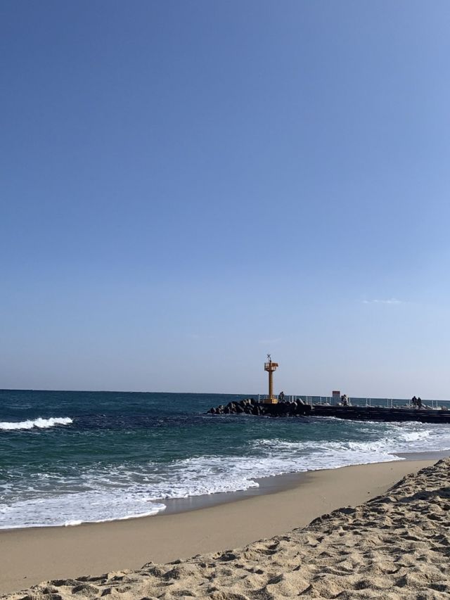 여름 해수욕장은 강릉 '강문해변' ! 🌊 