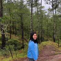 Blue soil at Malboro Hill