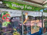 澳洲北領地最熱門的即日來回目的地 - 李治菲特國家公園