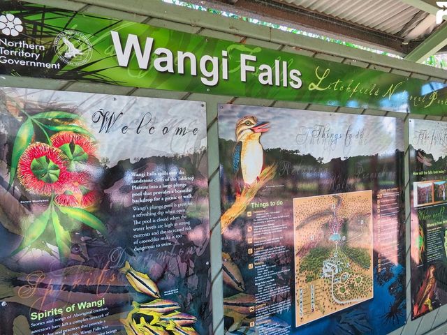 澳洲北領地最熱門的即日來回目的地 - 李治菲特國家公園