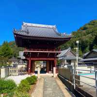 德島走進第四番札所 大日寺
