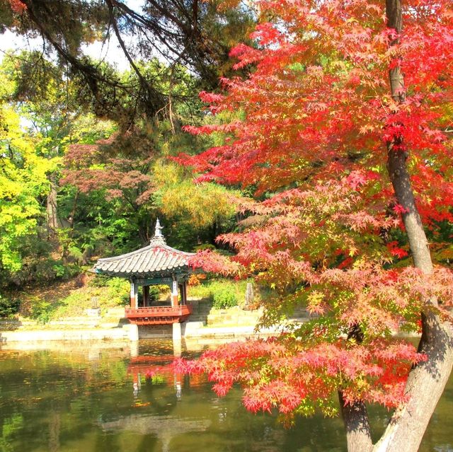 Autumn @Gyeongbokgung Palace 