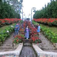 Dalat Flower Garden