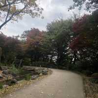 Best botanical garden in Seoul