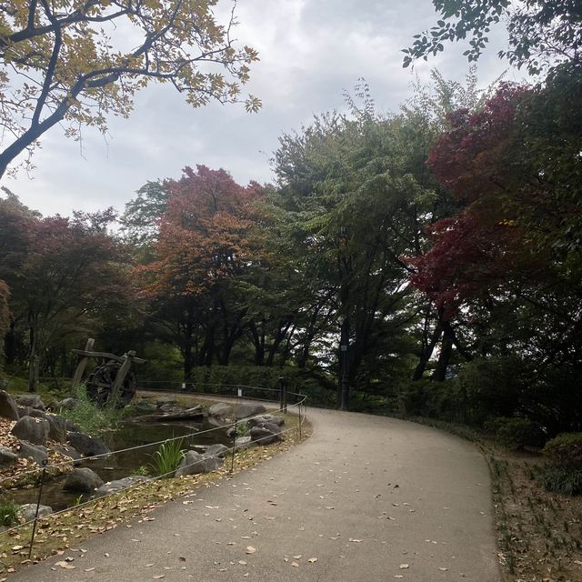 Best botanical garden in Seoul
