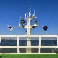 【横浜】アフタヌーンティークルーズ⛴マリーンルージュ