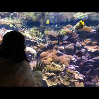 พามาเที่ยว New York Aquarium ค่ะ