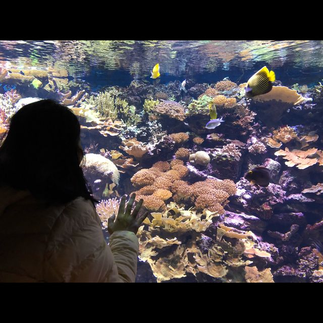 พามาเที่ยว New York Aquarium ค่ะ