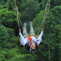 Bali Swing with beautiful scenery