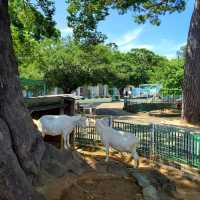 日本和歌山城公園動物園