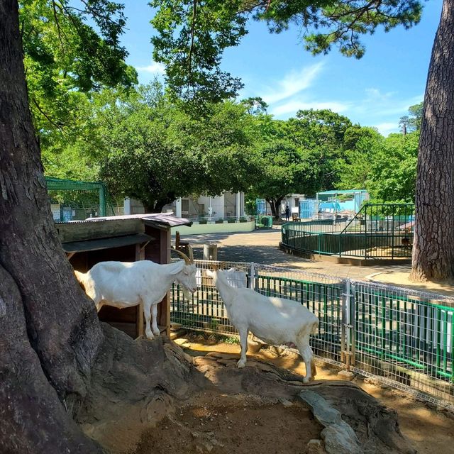 日本和歌山城公園動物園