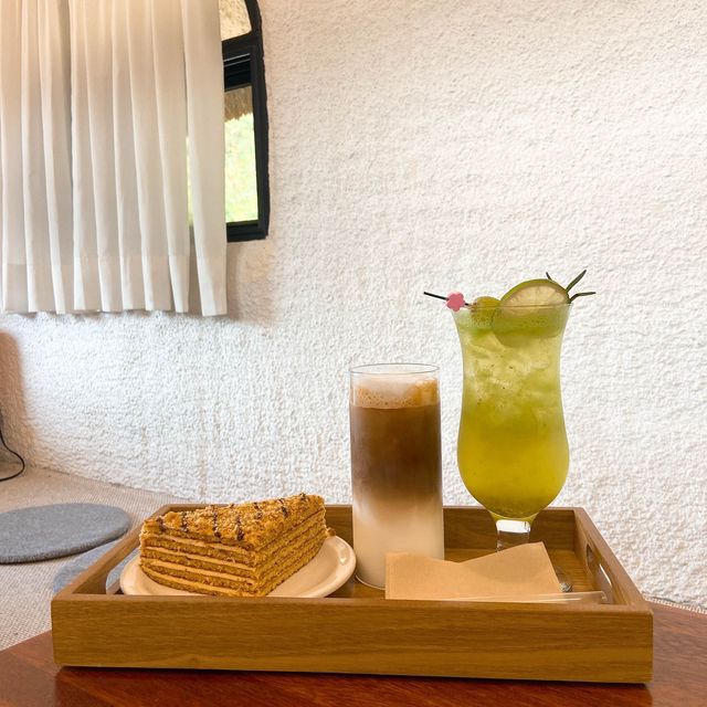 일일 제주여행 다녀올 수 있는 세종 카페 제주도화🍊