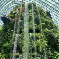 Best travel place, “Garden by the bay”
