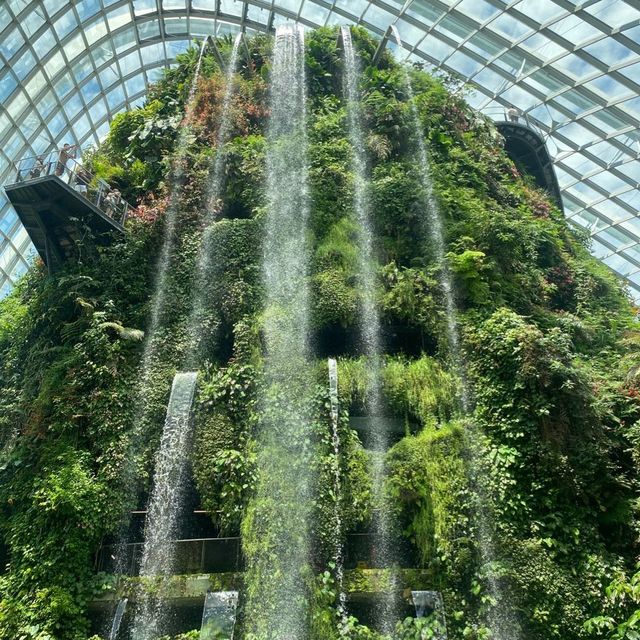 Best travel place, “Garden by the bay”