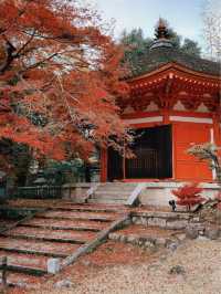 日本京都賞楓必去景點-清水寺