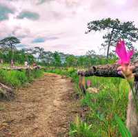 ทุ่งบัวสวรรค์