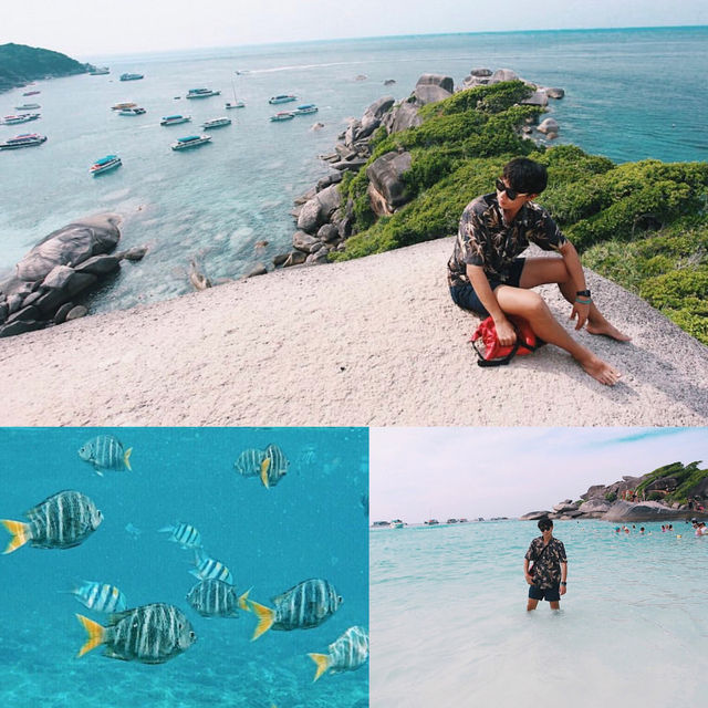 Similan island