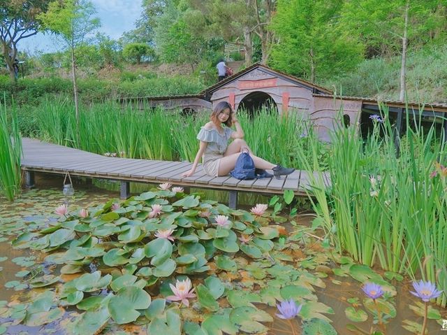 夏天來一碗彩虹粉粿冰吧！走進莫內畫中的世界，苗栗卓也小屋