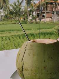 Café In The Middle Of Ubud’s Rice Field