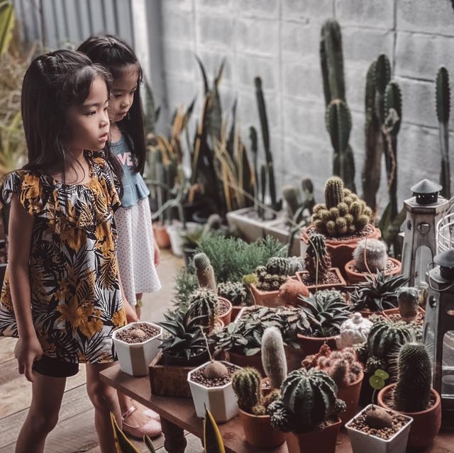 ขอนแก่น เค้กอร่อยต้องร้านนี้ 🥰