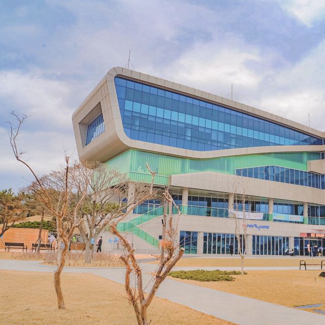 포항의 드라마 촬영명소인 이 곳 ! 구룡포✨