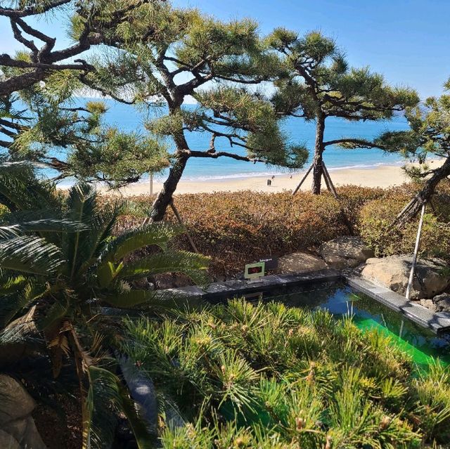 해운대 씨메르 파라다이스 호텔