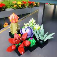 💐樂高植感溫室｜LEGO X CNFlower｜快閃活動，超逼真！大人小孩都會愛！😍