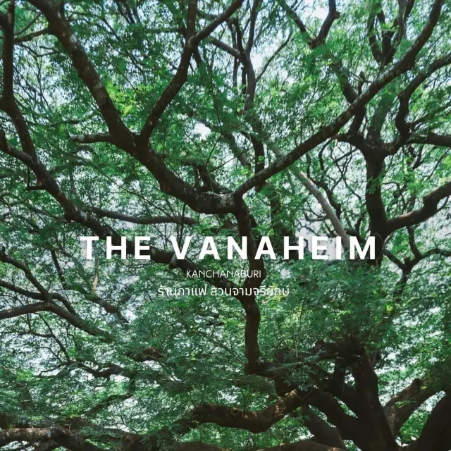  The Vanaheim