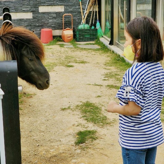 울진 왕피천공원, 아이와 함께 가볼만한 울진여행 장소