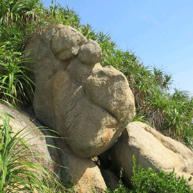 成個島都係🪨🪨🪨